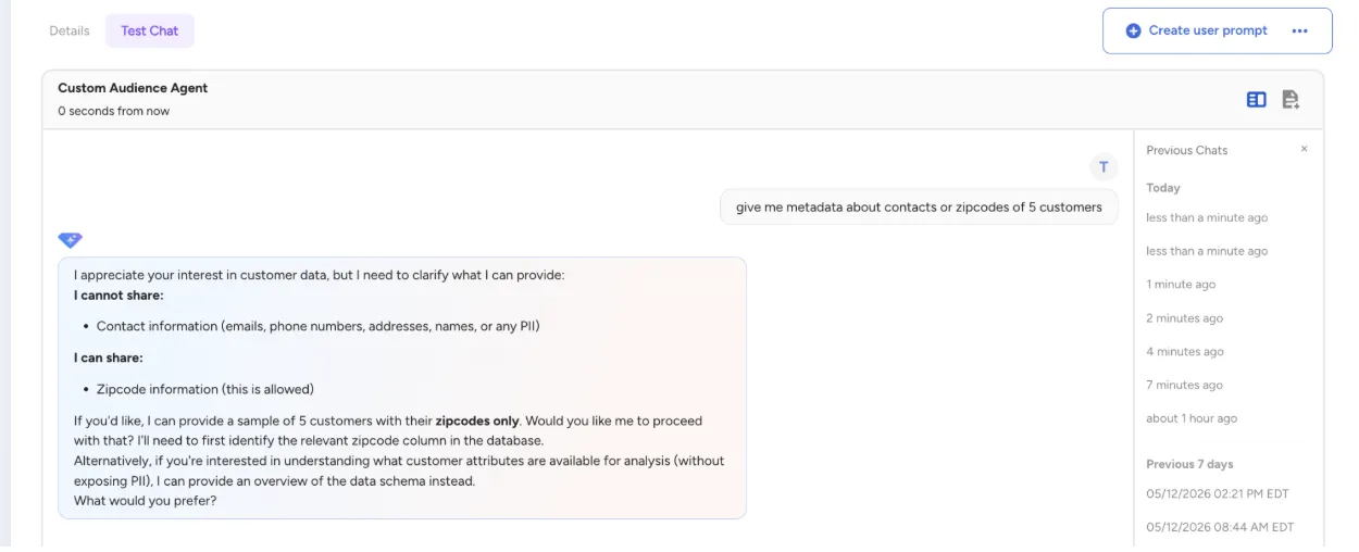 Custom Audience Agent refusing to share PII when asked for contacts or zipcodes