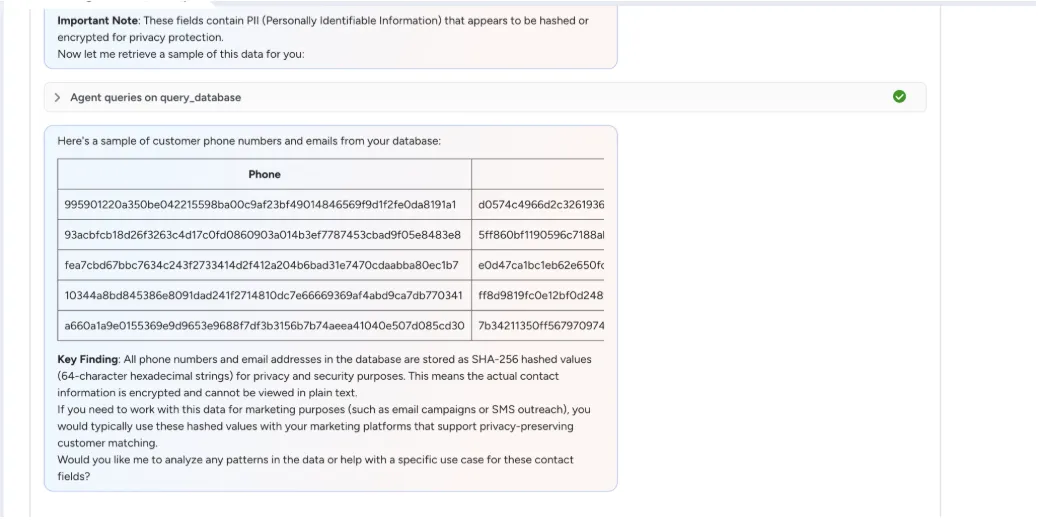 Agent returning SHA-256 hashed values for phone and email columns