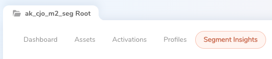 Segment Insights tab